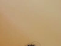 I am a sweet woman. i like horny men and horny conversations.Play hard with my toy. i like playing together.