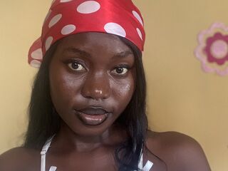 free cam picture ViviSpark